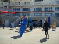 Biarritz Language Courses Institute :  Soggiorno francese e surfing